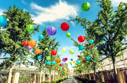 4 Jiading scenic spots good for leisure
