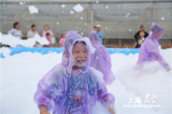 Summer carnival highlights night views in Jiading