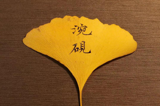 Golden gingko tree leaves never too tiny for artistic renditions