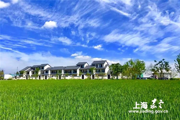 Rural tourism springs up in Jiading