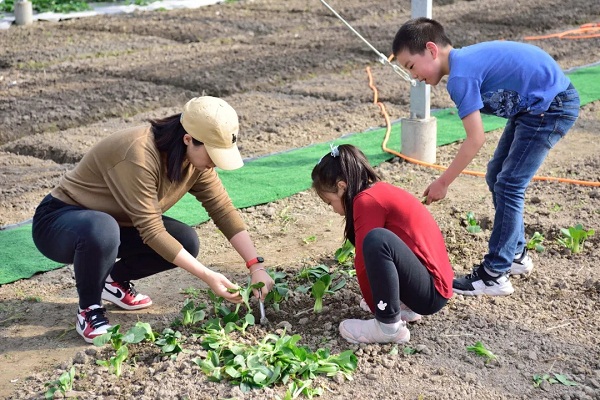 Communal garden emerges as new rural tourism program