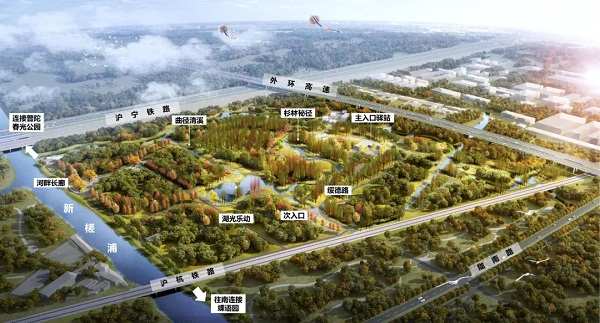 Jiading to open 26-hectare forest wetland park