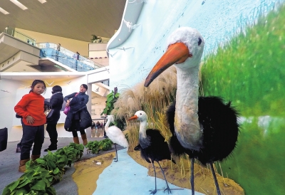 Lujiazui museum hosts wetland-themed exhibition