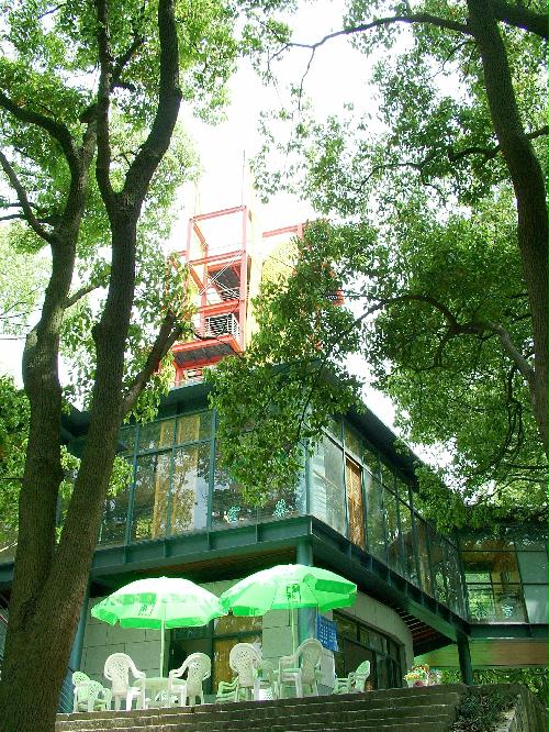 Forest Café and Landscape Teahouse