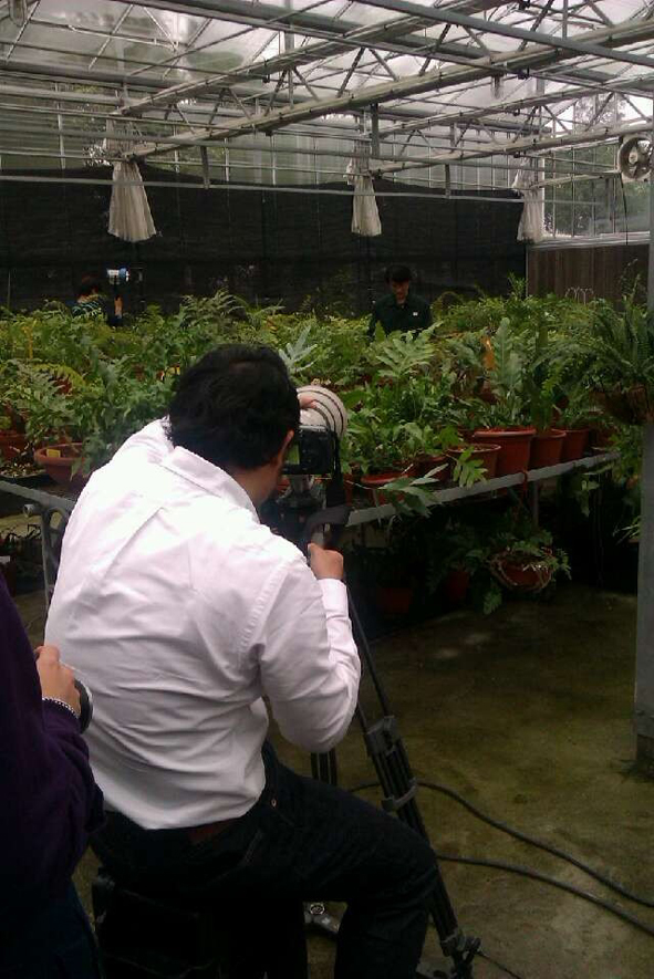 CCTV films gardener in Chenshan