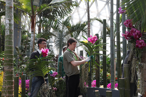 Shanghai Orchid Exhibition attracts orchid experts