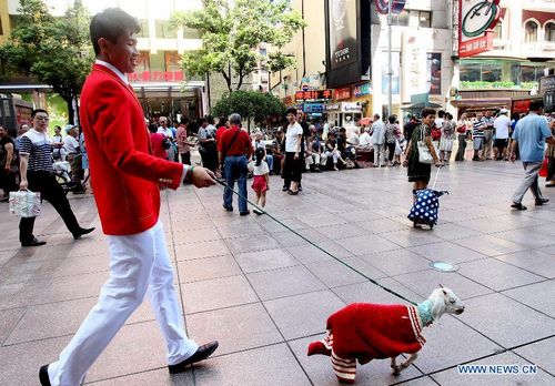 Int'l Wool Carnival kicks off in Shanghai