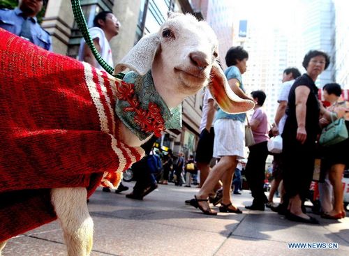 Int'l Wool Carnival kicks off in Shanghai