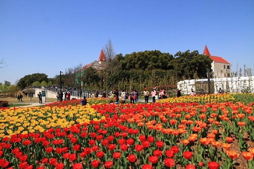 Spring outing at Sheshan Tourist Resort