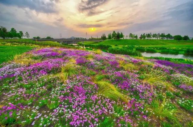 An aerial shot of stunning Sheshan