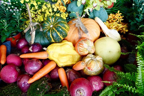 Flower and fruit exhibition launches in Sheshan