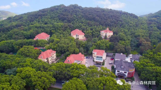 Three Sheshan restaurants awarded 'Green Restaurant' titles