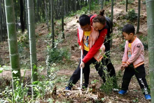 Have a taste of fresh bamboo shoots in Sheshan