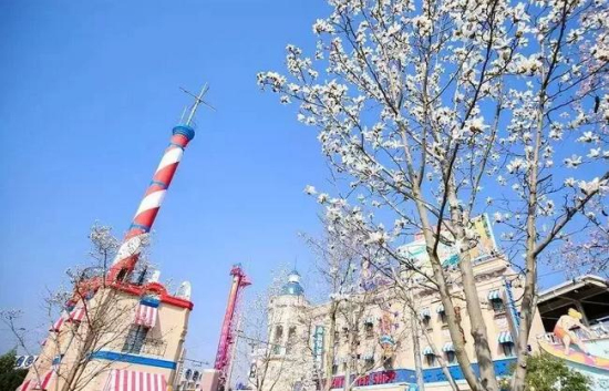 Songjiang No 67 bus connects most of scenic spots in Sheshan