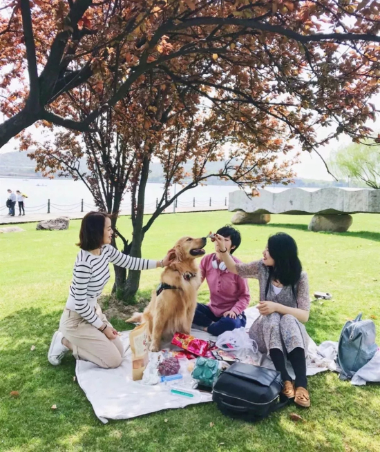 Best places for a picnic in Sheshan