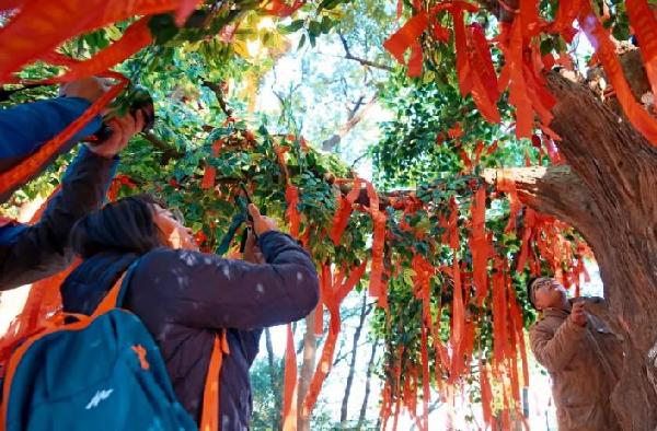 Residents ascend Sheshan Mountain to make New Year wishes