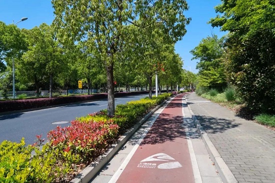 Eight greenways in Songjiang district perfect for daily fitness