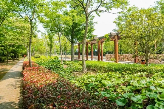 Eight greenways in Songjiang district perfect for daily fitness