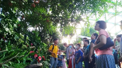 Pick fruit at Chenshan Botanical Garden