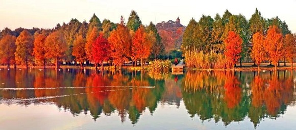 In pics: Chenshan Botanical Garden in four seasons