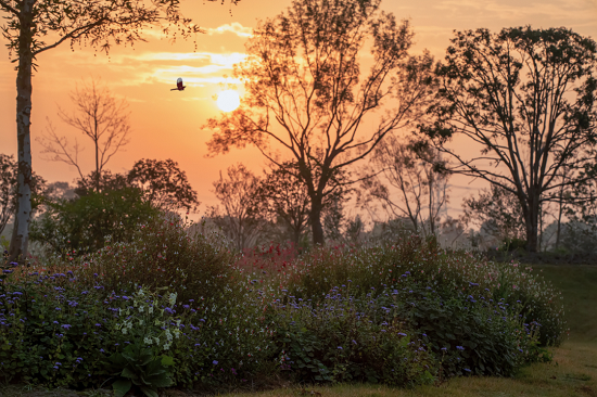 In pics: Wildlife at Shanghai Chenshan Botanical Garden