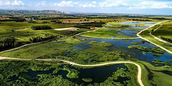 Scenery of Huliuhe wetland in Guangling county