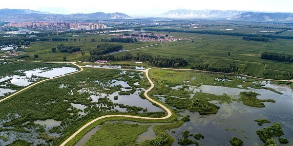 Scenery of Huliuhe wetland in Guangling county