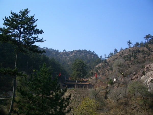 Dengfeng Temple amidst a splendor of trees