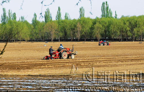 Spring planting in Datong