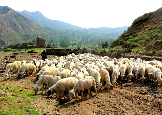 Photography document of pastoral life by the Great Wall in the four seasons