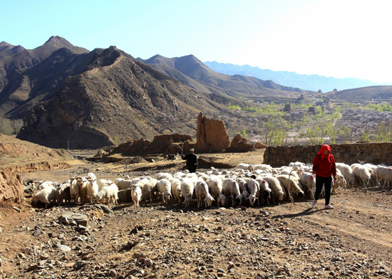 Photography document of pastoral life by the Great Wall in the four seasons