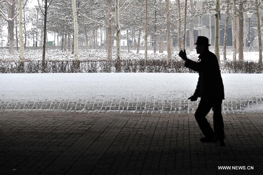 Snowfall hits N China's Shanxi