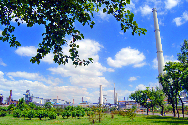 Taiyuan Iron & Steel (Group) Co to expand green area
