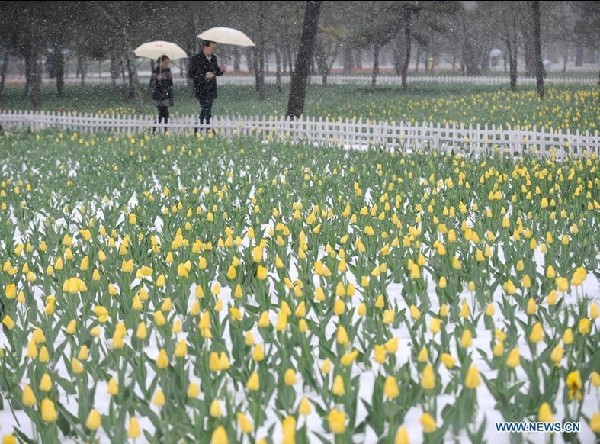 Snowfall hits Taiyuan, N China