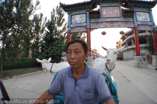 Farmer sells on-site goat milk in Shanxi