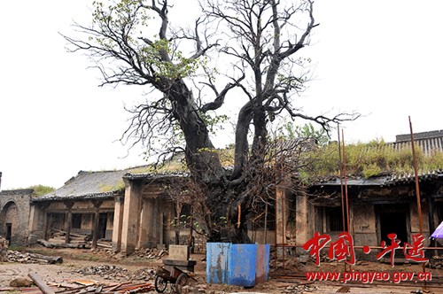 Pingyao's new round of heritage preservation