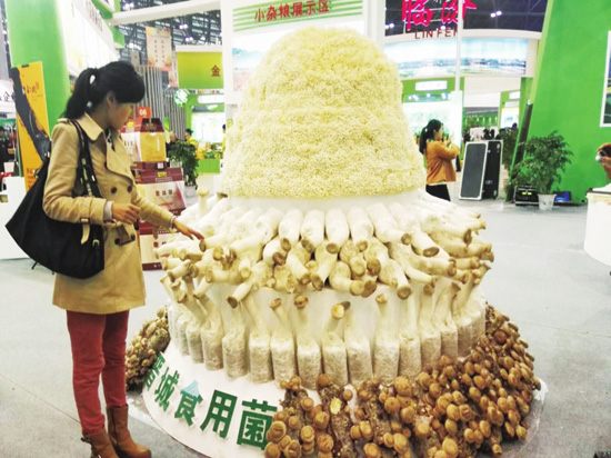 Agricultural expo opens in Taiyuan
