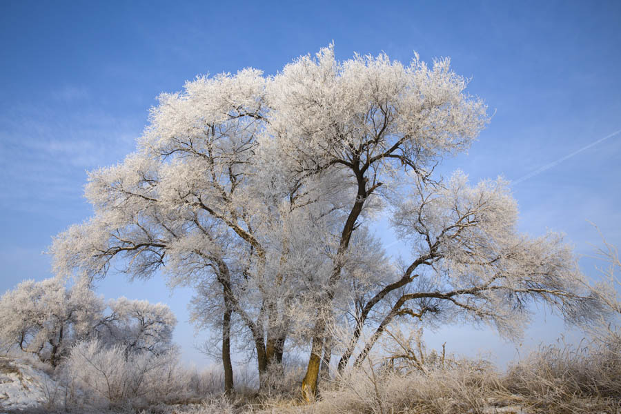 Dreamlike rime scenery in Shanxi