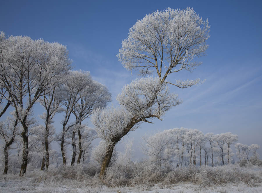 Dreamlike rime scenery in Shanxi