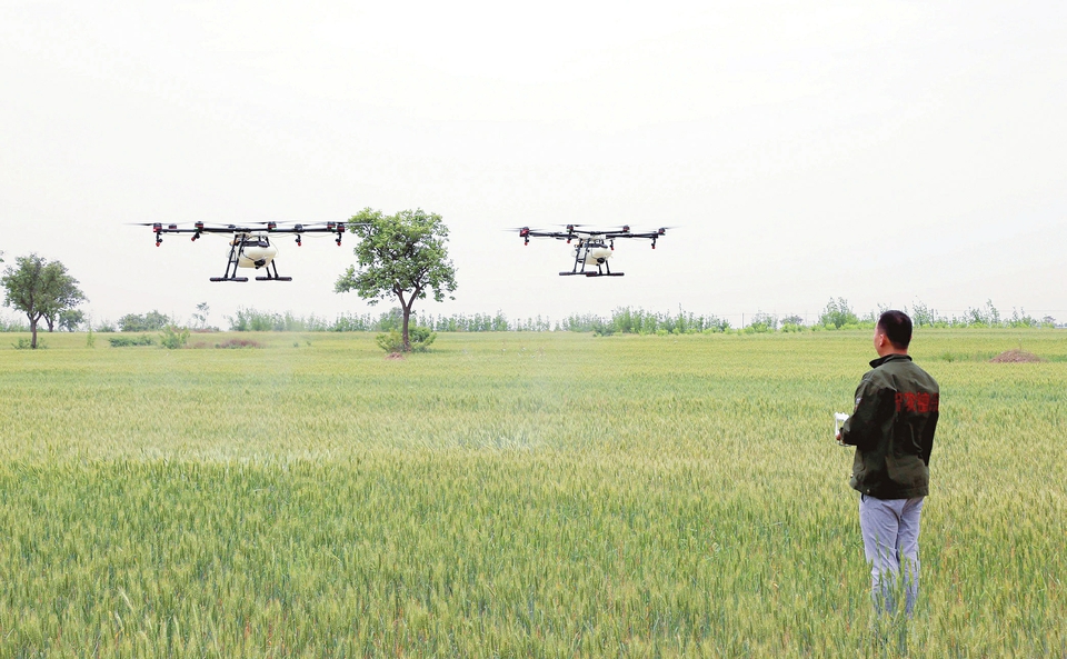 High-tech drones help protect wheat production