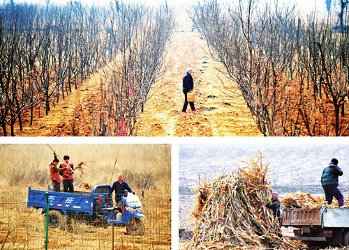 Spring farming in Shanxi