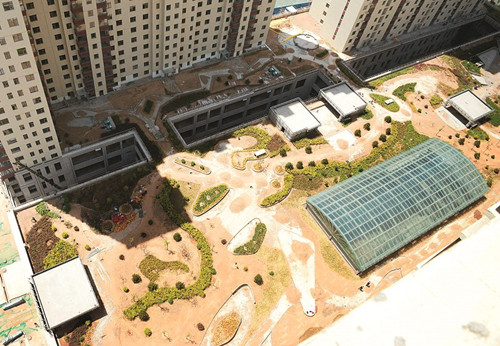 Rooftop gardens beautify apartment buildings