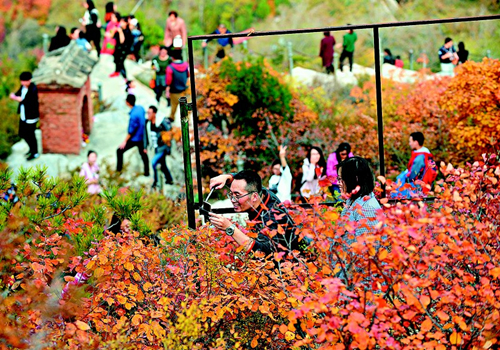 Red leaves attract crowds to Shanxi mountains