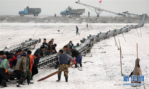 Workers harvest salt at Yanhu Lake