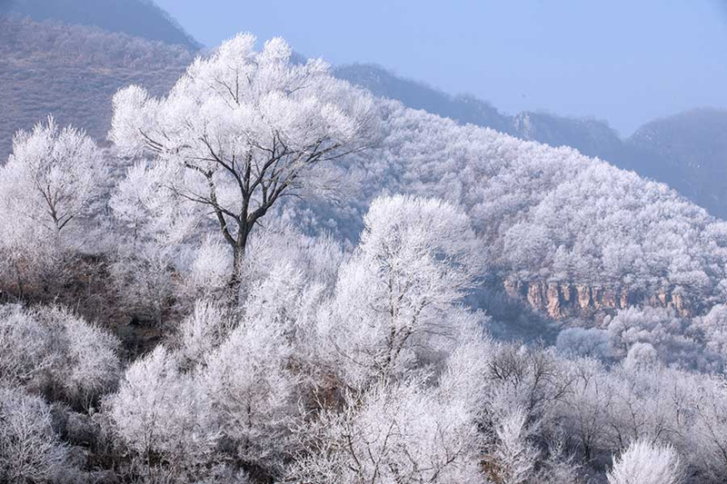 Frost scenery at Riyuexing scenic resort in Zuoquan, China's Shanxi