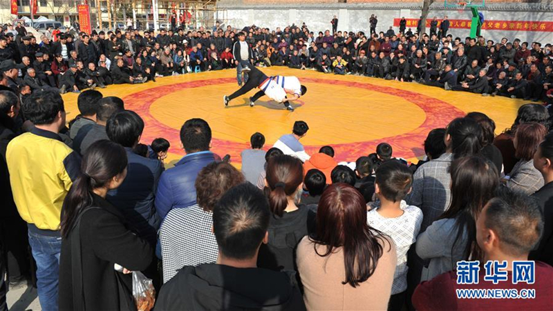 Wrestling for sheep goes with a swing in Shanxi
