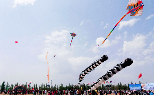 Kite festival opens in Shanxi