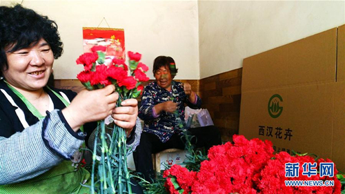 Shanxi village tackles poverty with flower industry