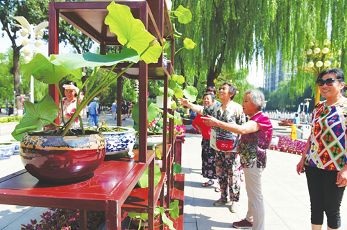 Hydrophyte exhibition opens in Taiyuan