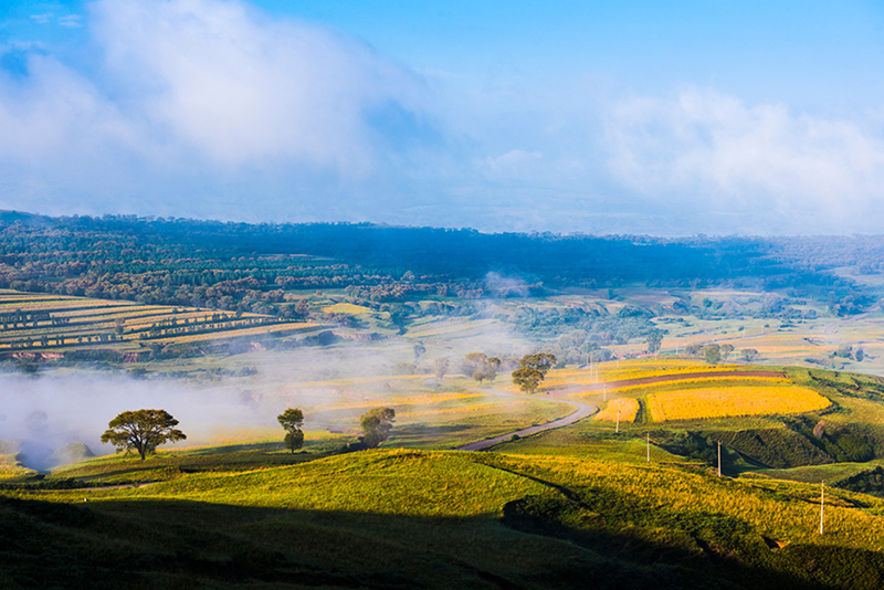 Early autumn scenery in Youyu county, Shanxi province